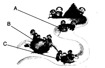 NCERT Solutions for Class 3 Mathematics Chapter-11 Jugs and Mugs